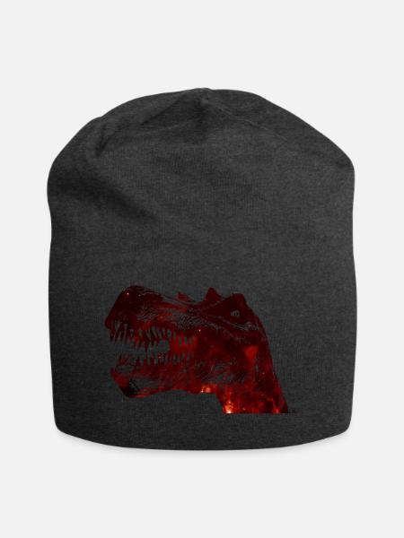 Dino - Jersey-Beanie - Anthrazit