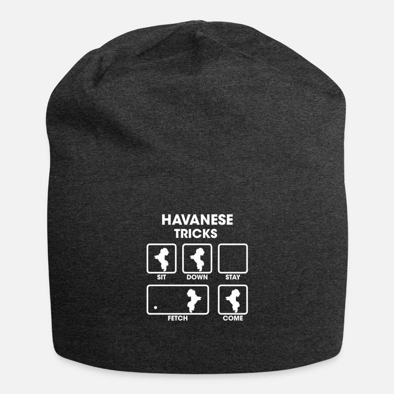 Havanese - Jersey-Beanie - Anthrazit
