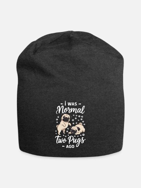 Ich War Normal Vor Zwei Möpsen - Jersey-Beanie - Anthrazit