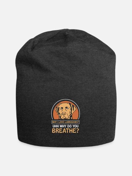 Why i love Labradors - Jersey-Beanie - Anthrazit