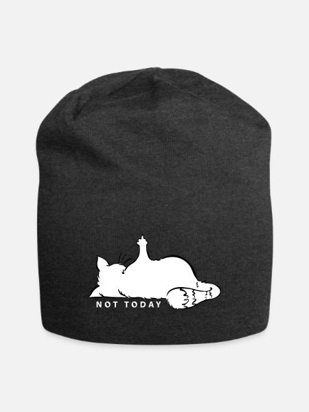 Katze Mittelfinger Not Today Nein Katzenliebe Nö - Jersey-Beanie - Anthrazit