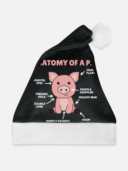 lustige Erklärung eines Schweins die Anatomie - Weihnachtsmütze - Schwarz/Weiß - Vorne