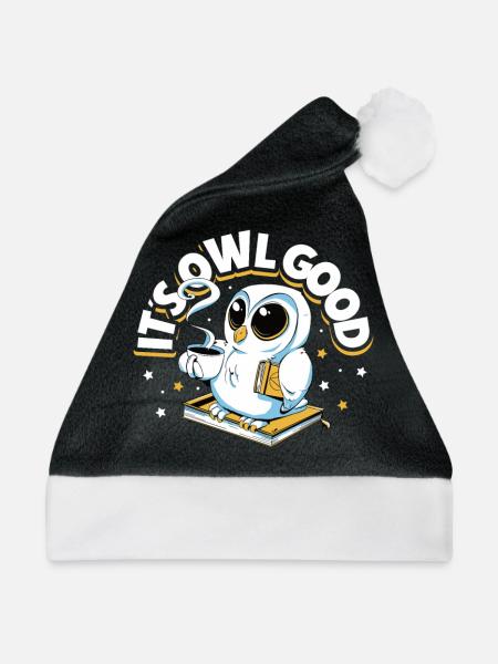Owl Cute Owl Owl Lover just a Boy who loves owls - Weihnachtsmütze - Schwarz/Weiß - Vorne