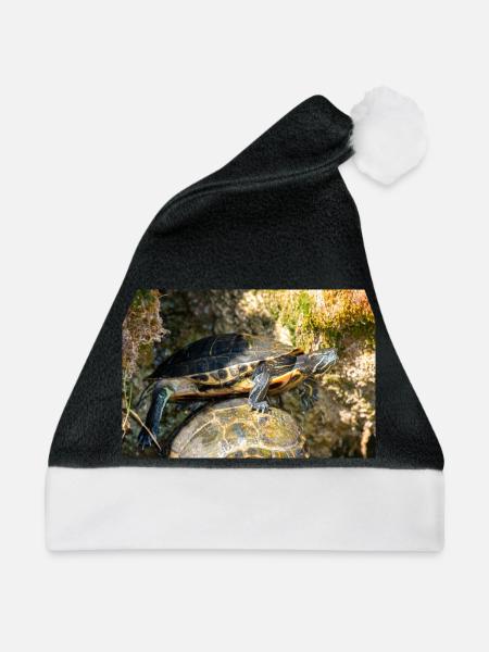 Gelbbauch-Slider Trachemys scripta scripta - Weihnachtsmütze - Schwarz/Weiß