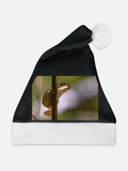 Laubfrosch - Weihnachtsmütze - Schwarz/Weiß