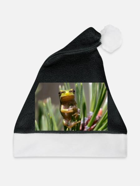 Laubfrosch - Weihnachtsmütze - Schwarz/Weiß
