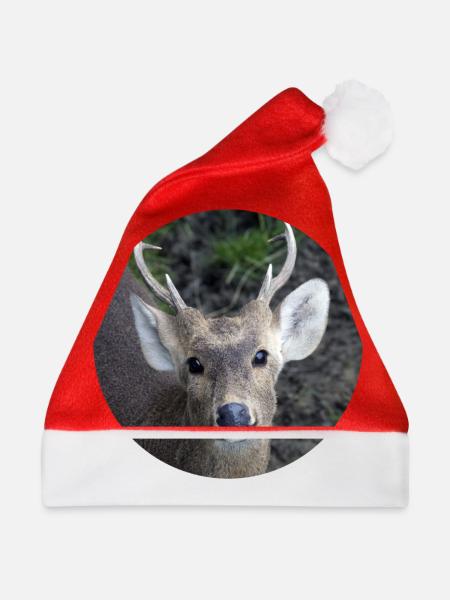 Reh Rehkitz Hirsch Hirsche Rentier - Weihnachtsmütze - Rot - Vorne
