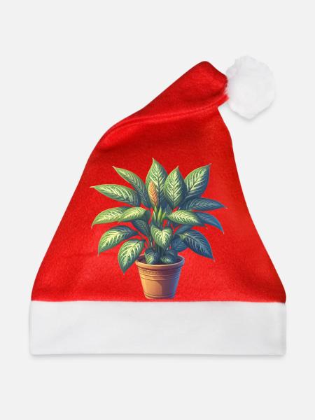 Dieffenbachia-Pflanze im Topf - Weihnachtsmütze - Rot