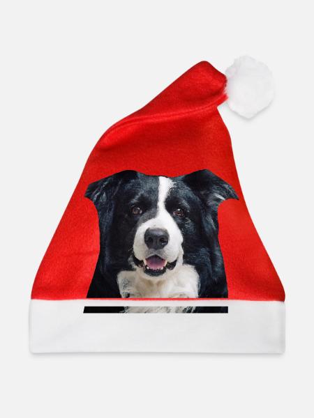 Border-Collie - Weihnachtsmütze - Rot