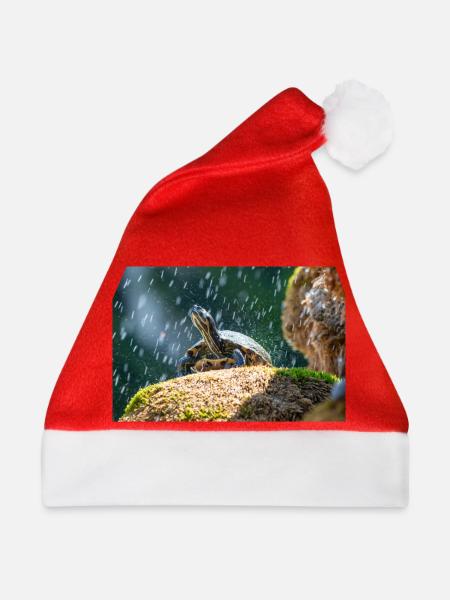 Gelbbauch-Slider Trachemys scripta scripta - Weihnachtsmütze - Rot