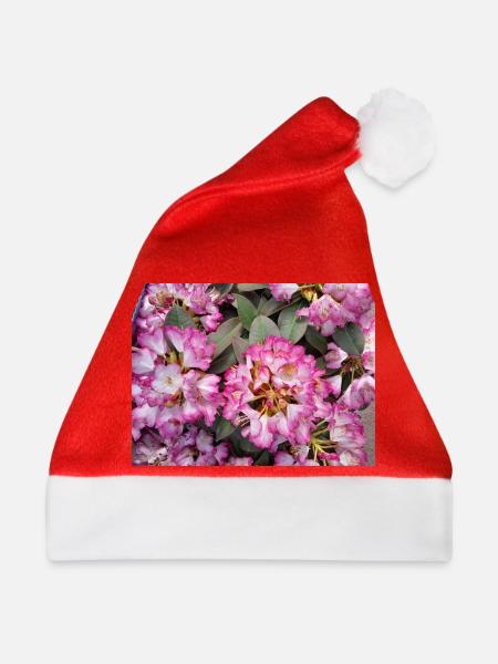 Knallpinker Rhododendron - Weihnachtsmütze - Rot