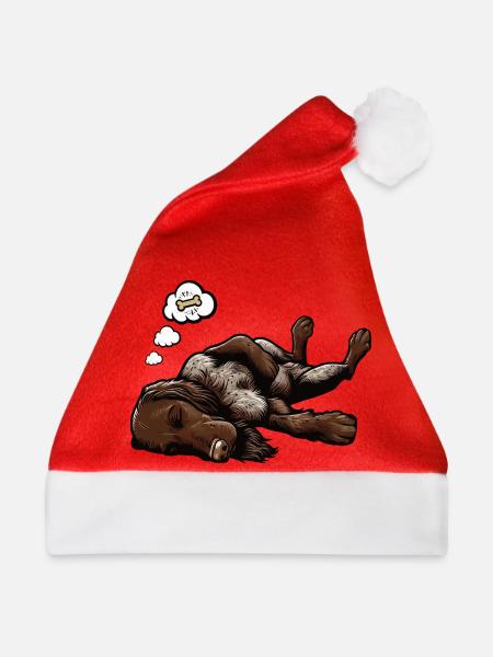 Deutsch Drahthaar Deutsch-Drahthaar Besitzer - Weihnachtsmütze - Rot