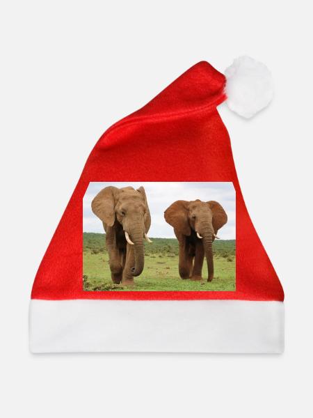 Zwei Elefanten auf Savanne - Weihnachtsmütze - Rot - Vorne