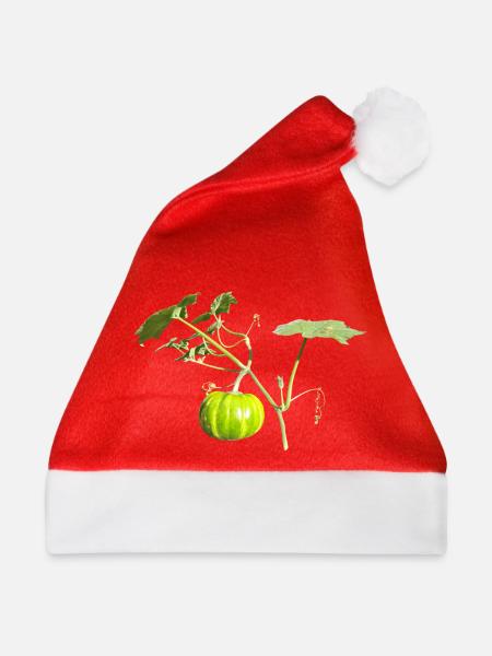 Kürbis - Weihnachtsmütze - Rot