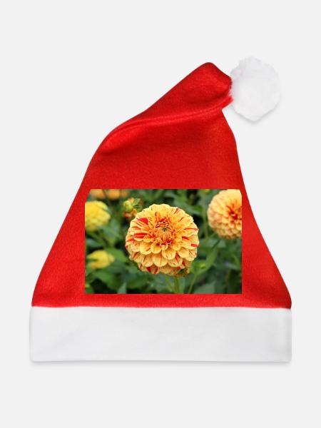 gelbe Dahlie Blüte Blume Poster - Weihnachtsmütze - Rot