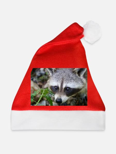 Waschbäre - Weihnachtsmütze - Rot