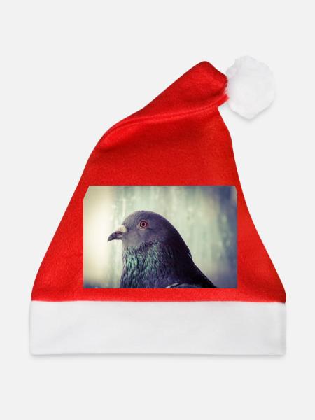 Irisierende Taubenporträt - Weihnachtsmütze - Rot