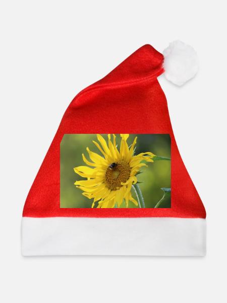 Sonnenblumen mit Hummel - Weihnachtsmütze - Rot