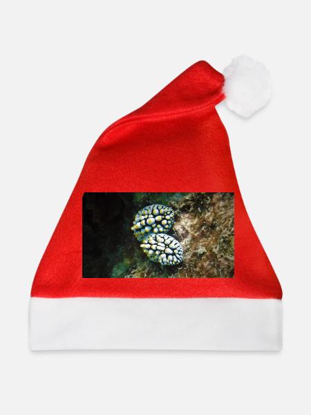 NACKTSCHNECKE - Weihnachtsmütze - Rot