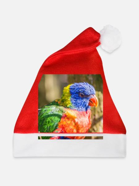 Regenbogenloris (Allfarblori, Trichoglossus) - Weihnachtsmütze - Rot