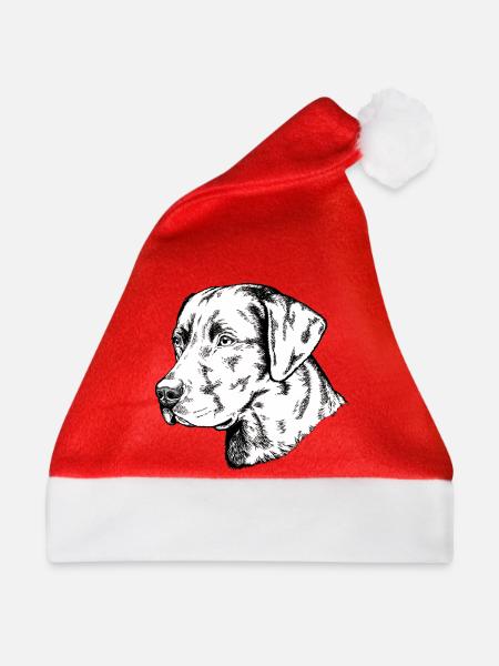 Retriever Portrait - Weihnachtsmütze - Rot
