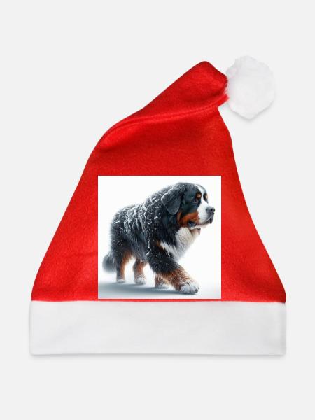 Berner Sennenhund - Weihnachtsmütze - Rot