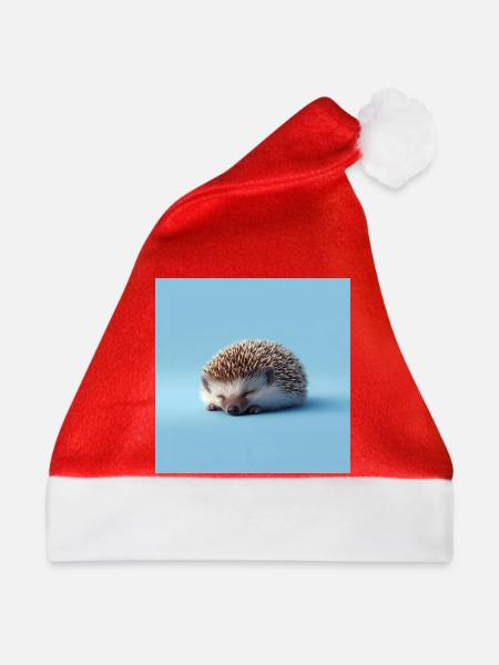 Blauer schlafender Igel - Weihnachtsmütze - Rot