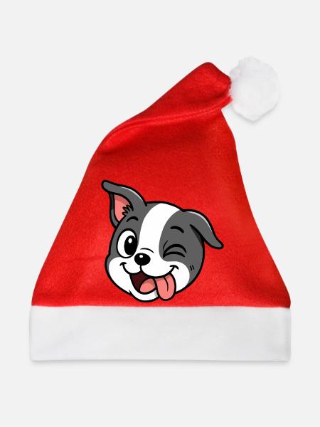 Boston – Frech. - Weihnachtsmütze - Rot