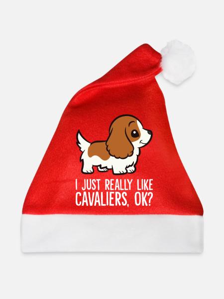 Ich mag Cavaliere einfach sehr, okay? Cavalier - Weihnachtsmütze - Rot - Vorne