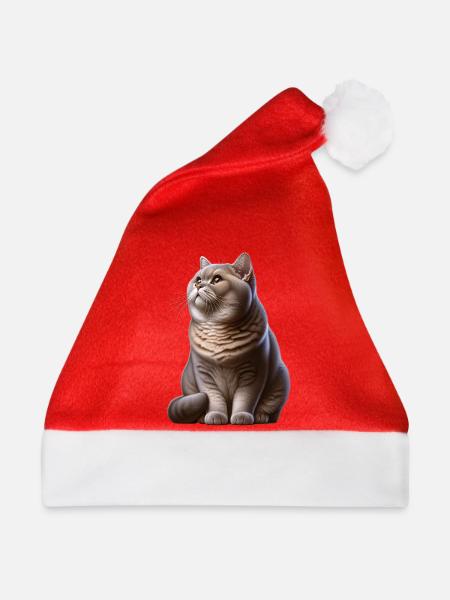 Britisch Kurzhaar Katze - Weihnachtsmütze - Rot