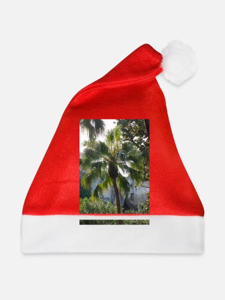 Palme - Weihnachtsmütze - Rot
