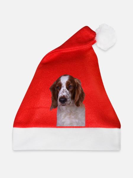 Welsh Springer Spaniel - Weihnachtsmütze - Rot