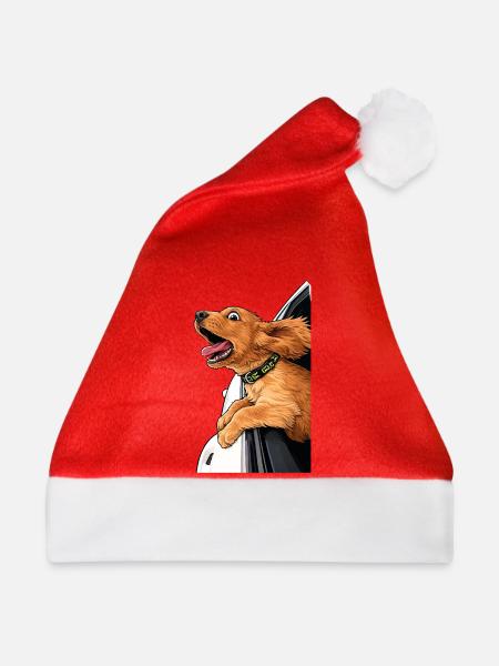 Roadtrip Dog – Wind im Fell - Weihnachtsmütze - Rot