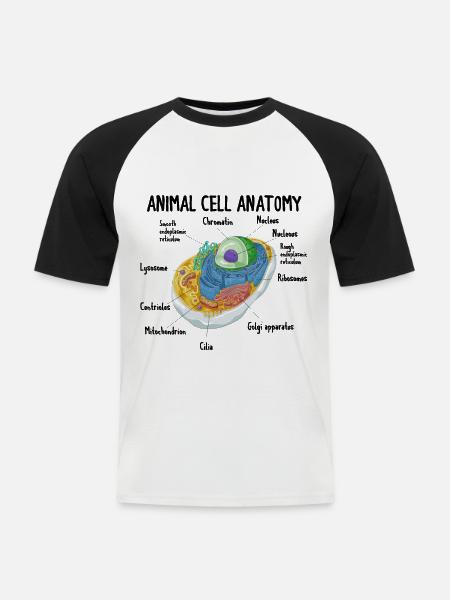 Anatomi af Animal Cell Biology Biolog Science - Kortærmet herre-baseballshirt - hvid/sort