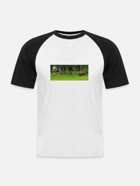 Pferde auf der Wiese - Männer Baseball-T-Shirt - Weiß/Schwarz