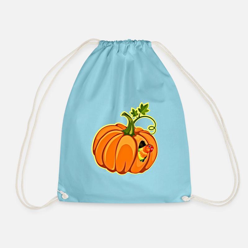 Pumpkin Parrot Whimsy - Drawstring Bag - aqua