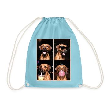 Hunde Rhodesian Ridgeback Hund - Turnbeutel - Aqua - Vorne