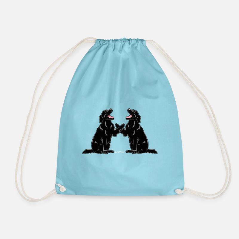Flattie Pair 3 - Drawstring Bag - aqua