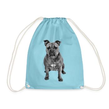 Bouledogue Vieux Bouledogue Anglais Chien Chiens - Sac de sport léger - aqua - Devant