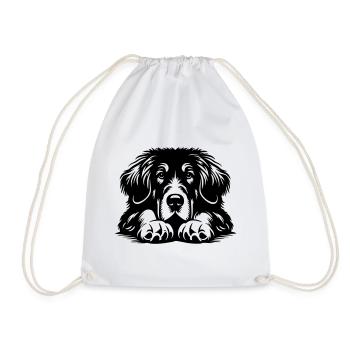 Tibetan Great Dane Head with Paws - Drawstring Bag - white - Front