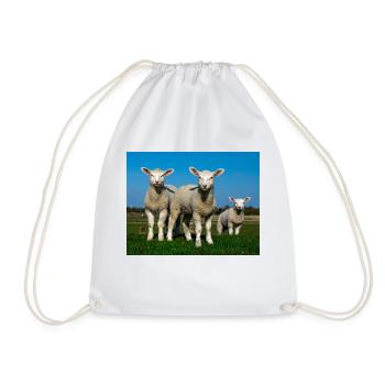 lambs in the pasture - Drawstring Bag - white - Front