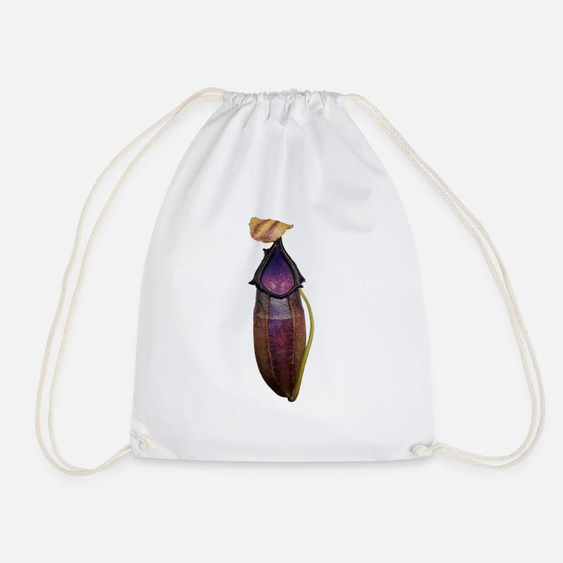 Nepenthes bongso - Turnbeutel - Weiß