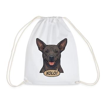 Xoloitzcuintli Dog Rétro Vintage Comic Design - Sac de sport léger - blanc - Devant