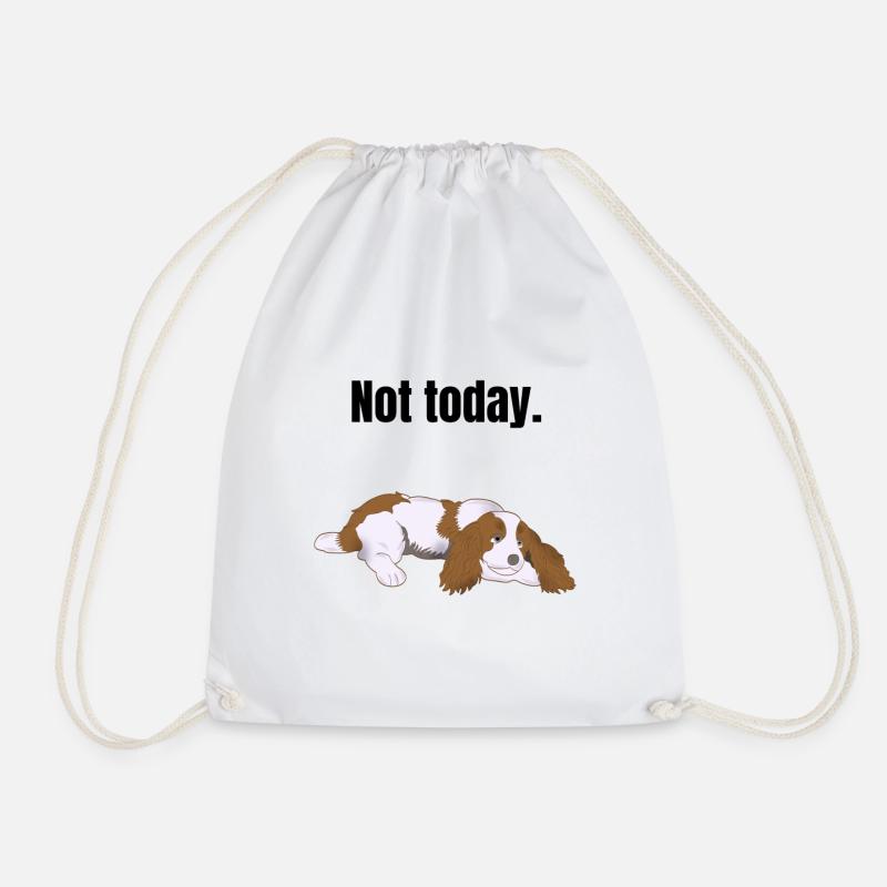 Cavalier King Charles Spaniel faul Geschenk - Turnbeutel - Weiß