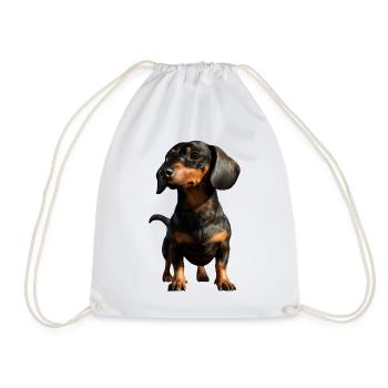 Dachshund, Dachshund, Miniature Dachshund, Dachshund Club, Dachshund - Drawstring Bag - white - Front