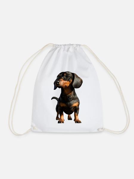 Dachshund, Dachshund, Miniature Dachshund, Dachshund Club, Dachshund - Drawstring Bag - white