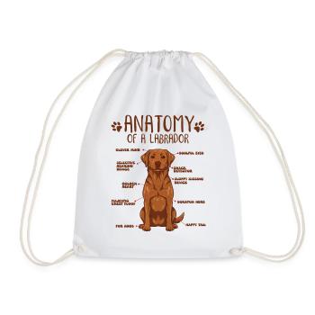 Anatomy of a Fox Red Labrador - Drawstring Bag - white - Front