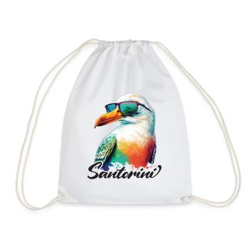 Santorini Greece Holiday Seagull Sunglasses - Drawstring Bag - white - Front