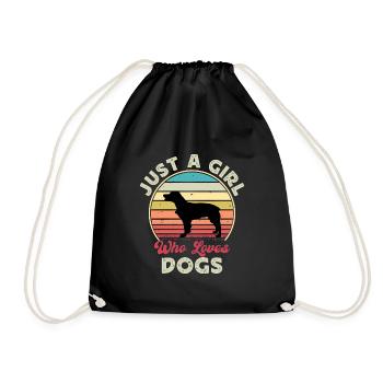 Épagneul Français Dog Lover Silhouette Vintage Sunset - Sac de sport léger - noir - Devant