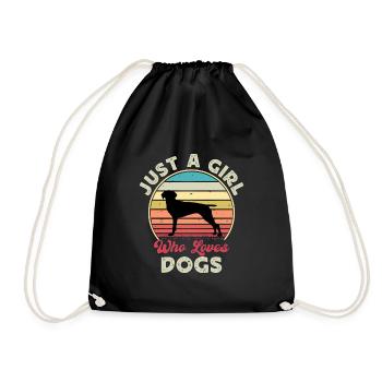 Old Danish Pointer Dog Silhouette Retro Sunset - Drawstring Bag - black - Front